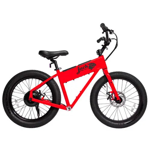JackRabbit XG 20" Ebike